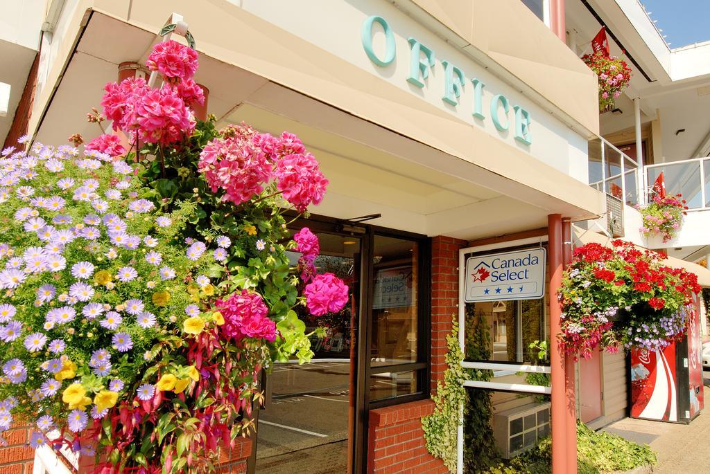 Grouse Inn West Vancouver Exteriör bild